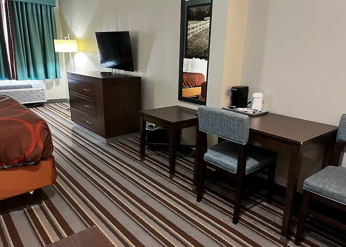 Super 8 By Wyndham Port Arthur/Nederland Area