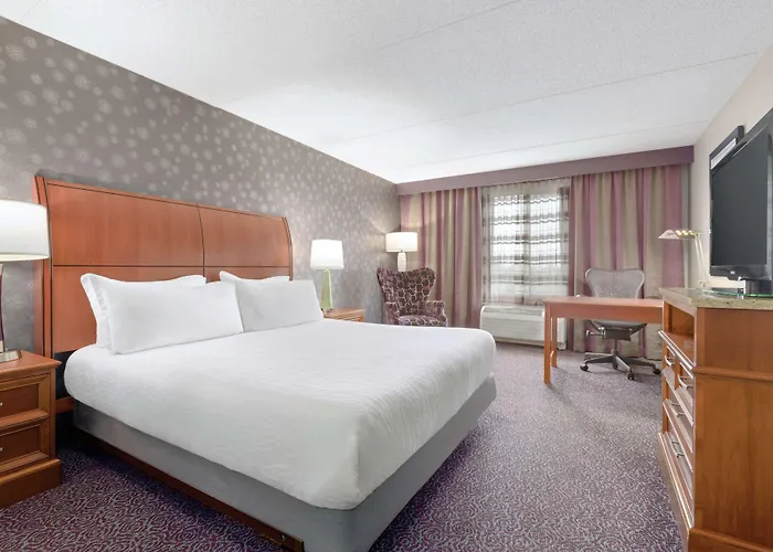 Hilton Garden Inn Springfield, Ma