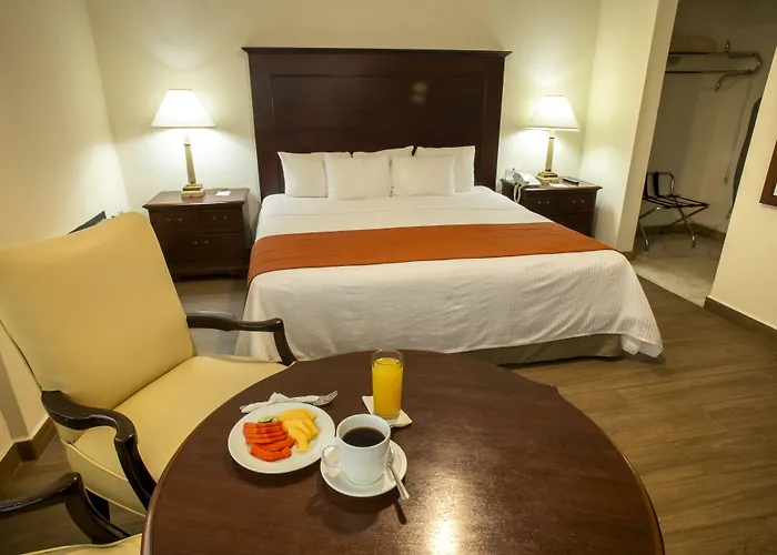 Hotel Plaza Calzada