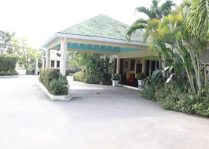 Negril Palms
