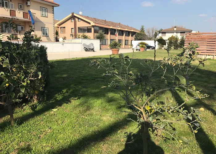 Euro House Inn Airport