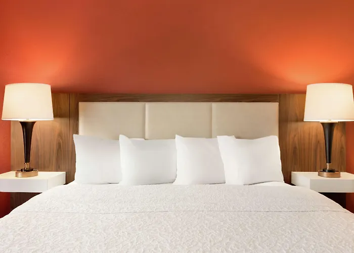 Hampton Inn Wichita Falls-Sikes Senter Mall