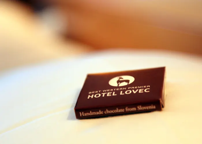Hotel Lovec
