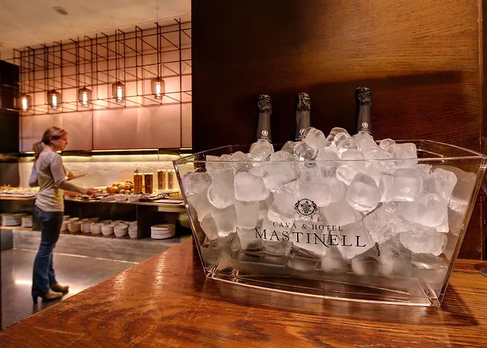 Olivia Plaza Hotel