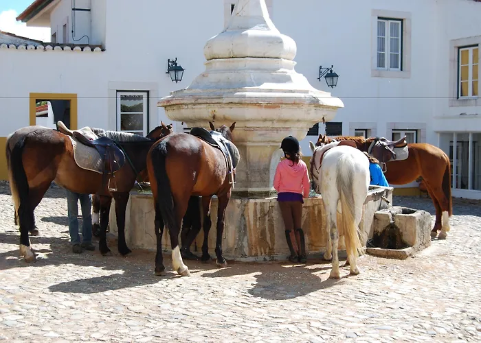 Hotel Rural Quinta De Santo Antonio