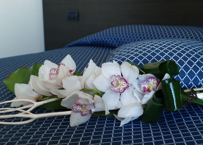 Draconerium Hotel