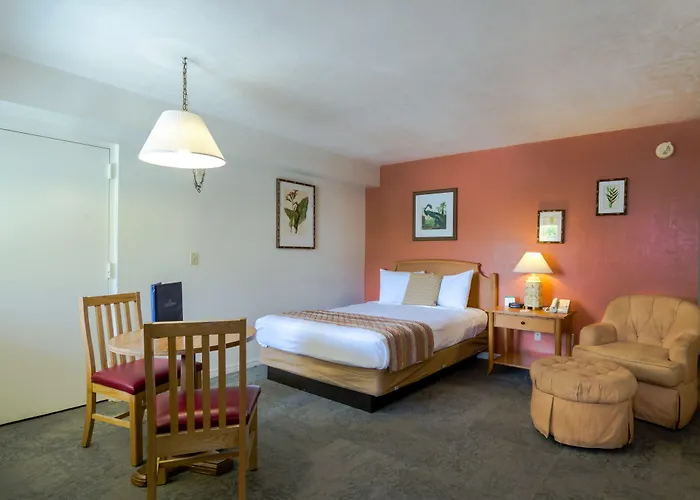 Oyo Waterfront Hotel- Cape Coral Fort Myers, Fl