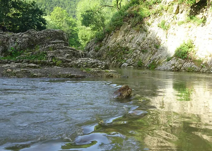Sadyba Zatyshna