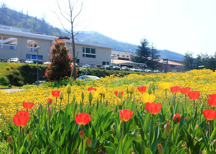 Admiral Park Hotel Bologna By Falco D'Oro Hotels