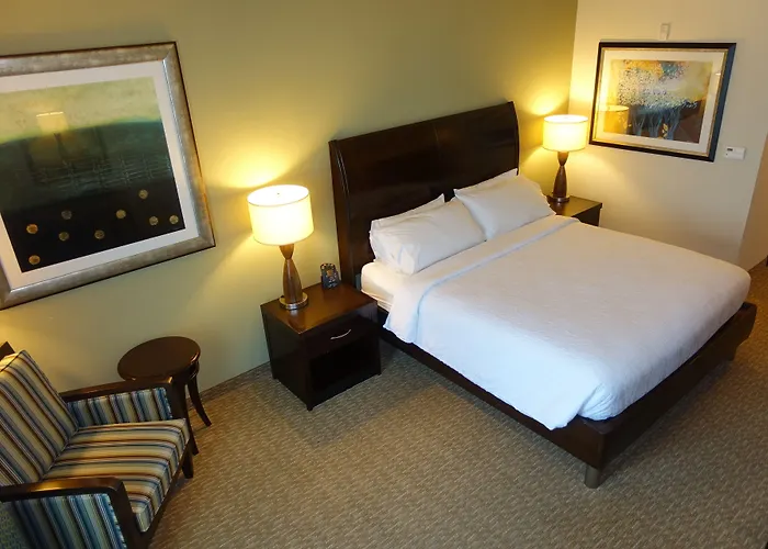 Hilton Garden Inn Houston-Pearland