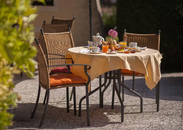 Garten - Hotel Sallerhof