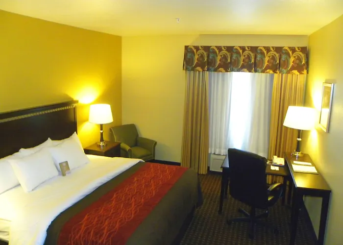 Comfort Inn & Suites Regional Medical Center