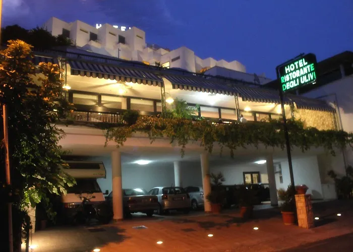 Hotel Degli Ulivi