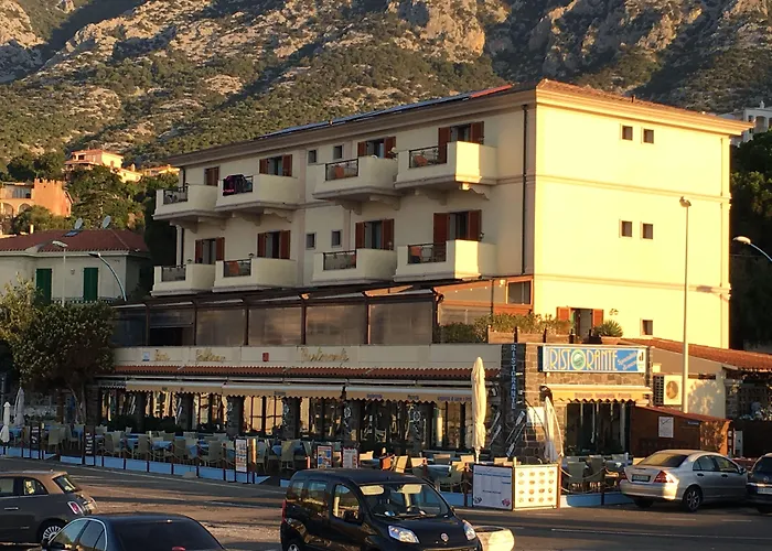 Il Nuovo Gabbiano
