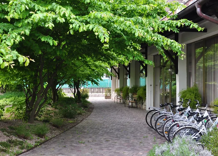 Hotel Al Sorriso Greenpark & Wellness