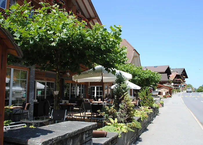 Chalet Hotel Adler AG
