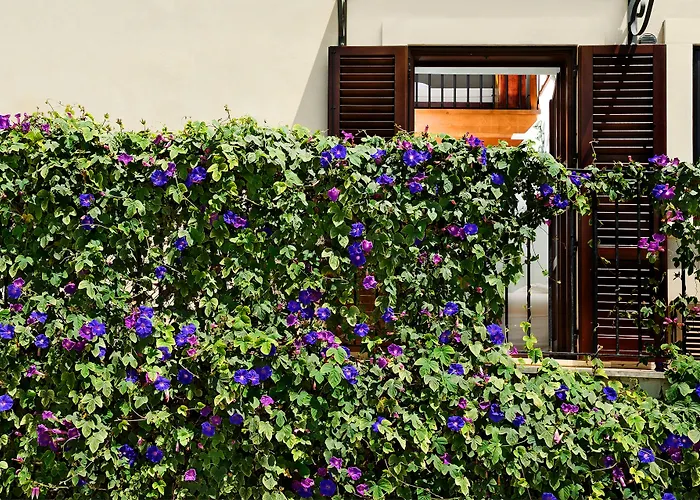 Kallikoros Country Resort & Spa