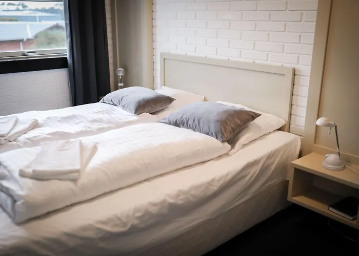 Dolphin Hotel Herning