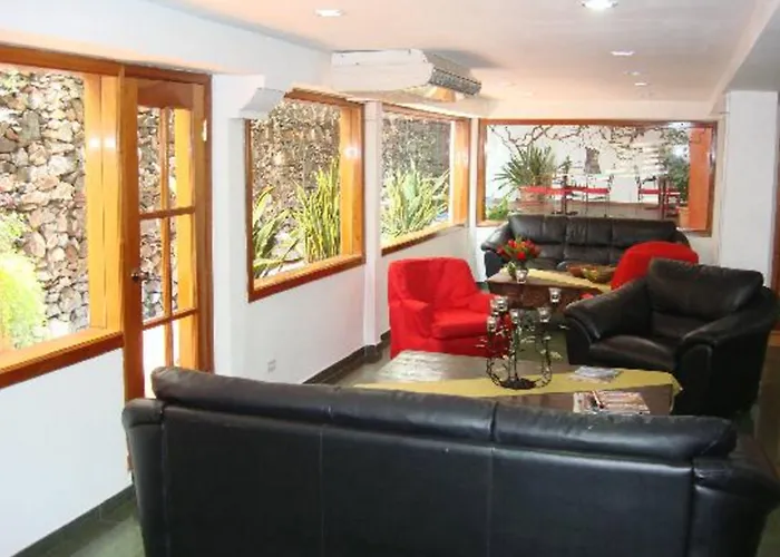 Hotel Casa Del Arbol