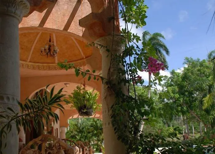 The Palace At Playa Grande
