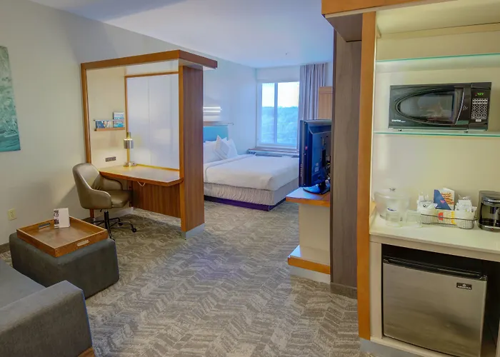 Springhill Suites By Marriott Macon
