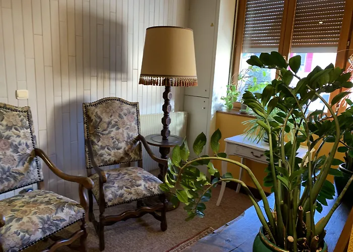 Cit'Hotel Des Vosges - 5 Rue De La Gare