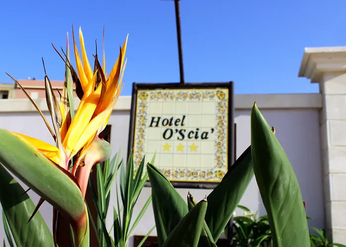 Hotel O'scià