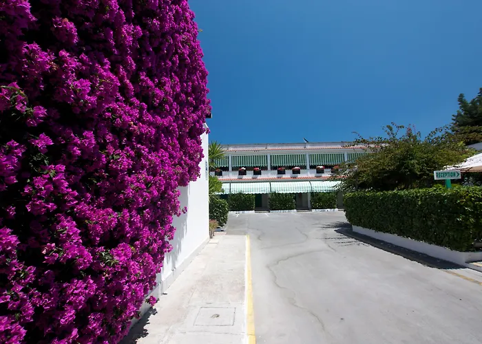 Hotel Residence Nemo