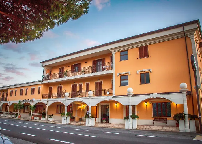 Palmed Hotel