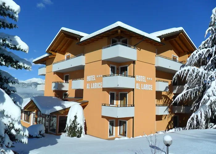Hotel&Appartamenti Al Larice
