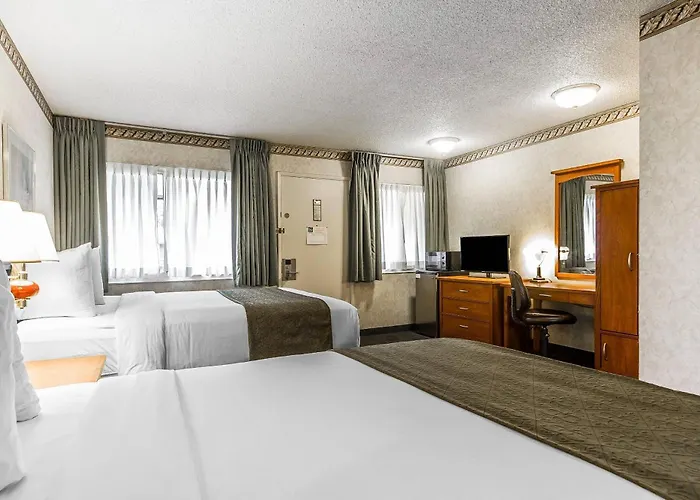 Quality Inn & Suites Silicon Valley