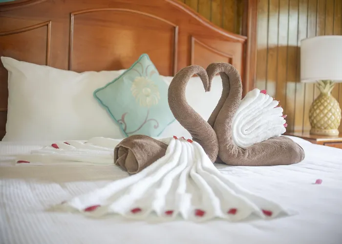 Bay View Eco Resort & Spa