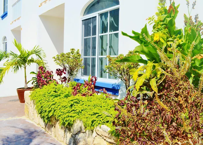Corales Suites