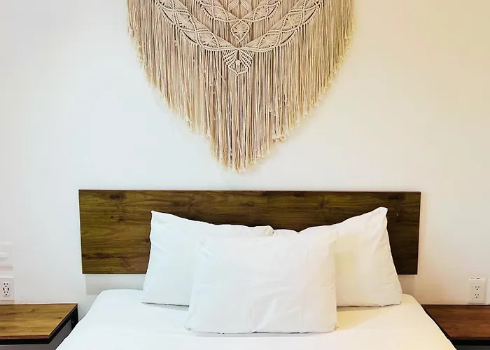 Live Coco Suites - Hotel Boutique & Rooftop