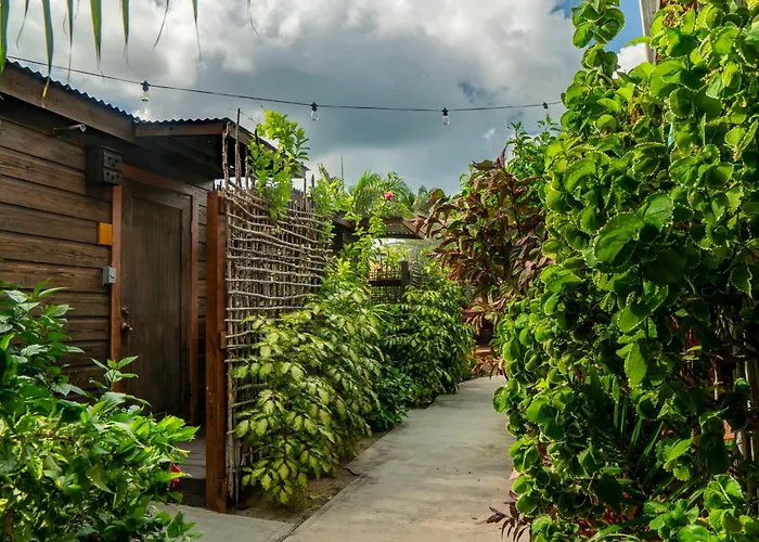 Conch Beach Cabins