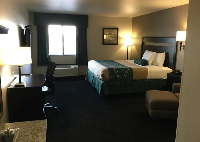 Baymont By Wyndham Glendive