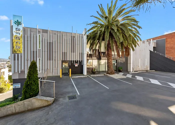 Areca Launceston