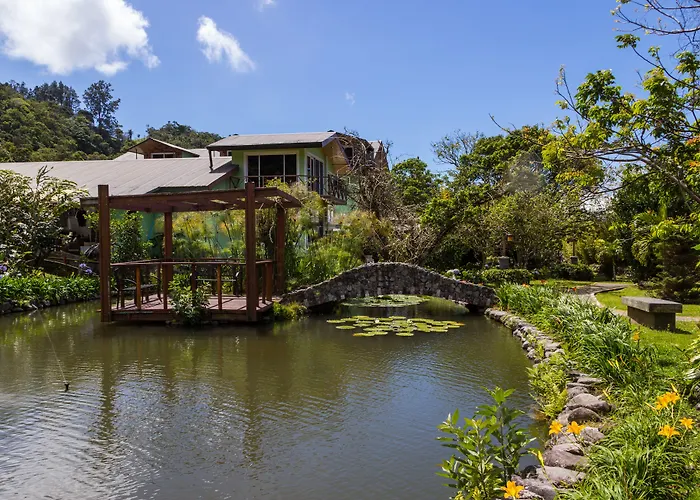 El Oasis Hotel Y Restaurante