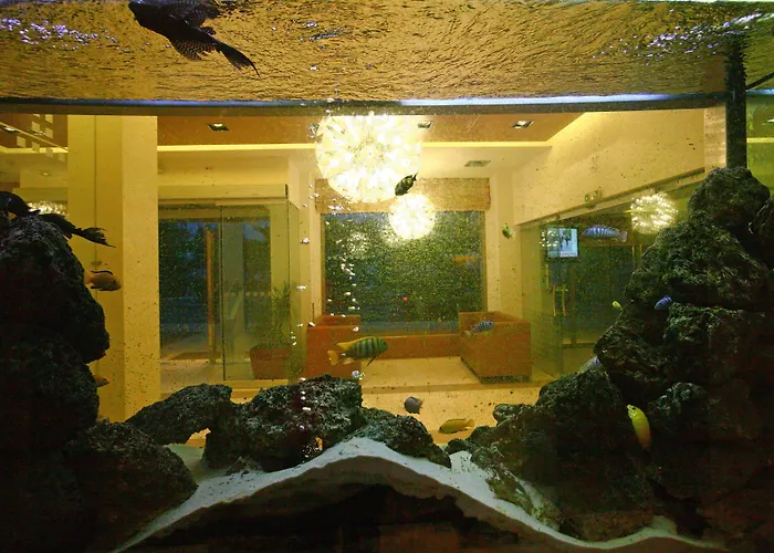 Hotel Flisvos
