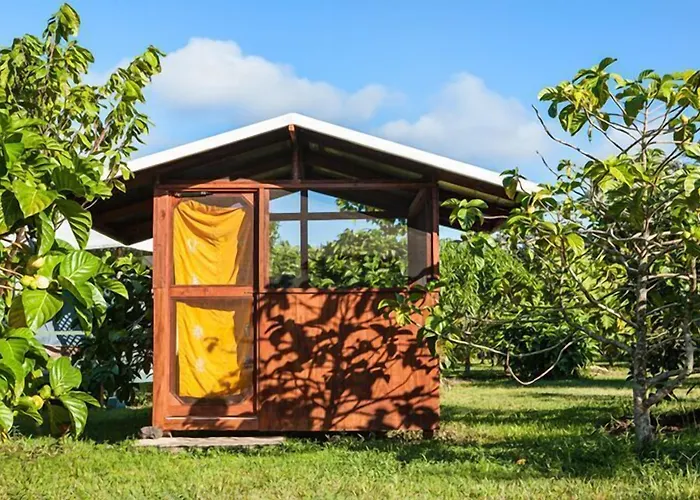 Kirpal Meditation And Ecological Center