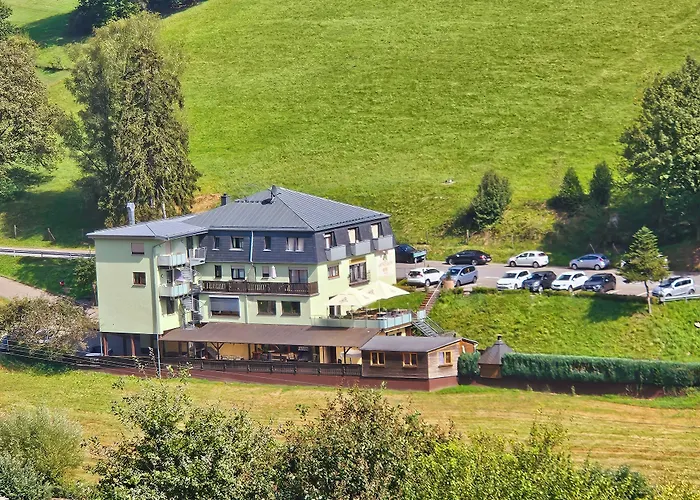 Hotel Grüner Baum mit Restaurant&Wellness
