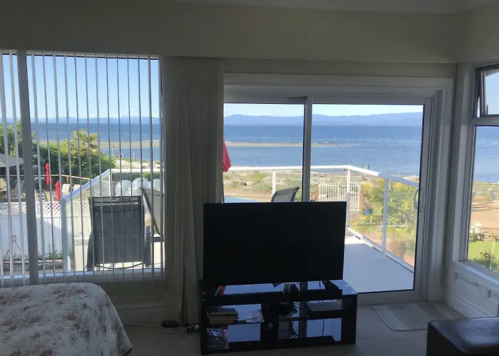 Buena Vista By The Sea