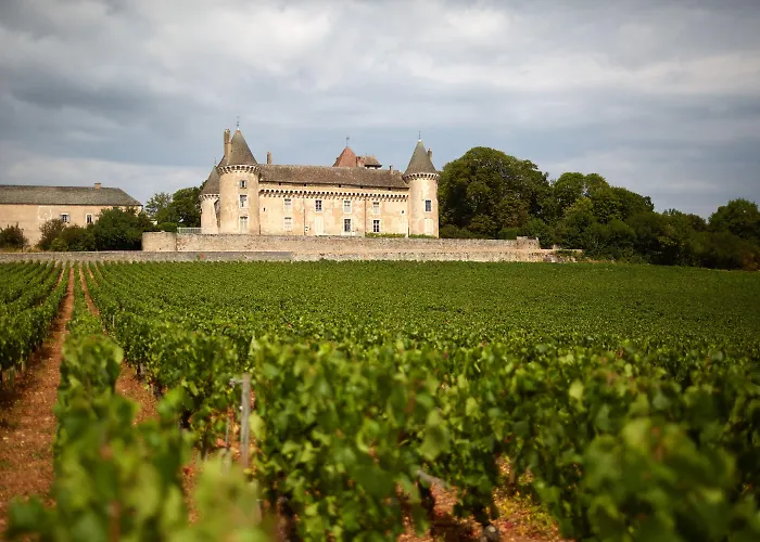 Chateau Saint-Michel - Cercle Des Grands Crus