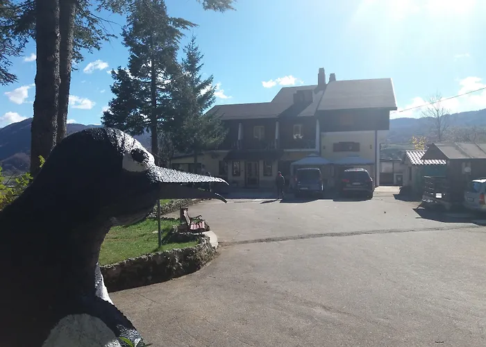 Hotel Pinguino