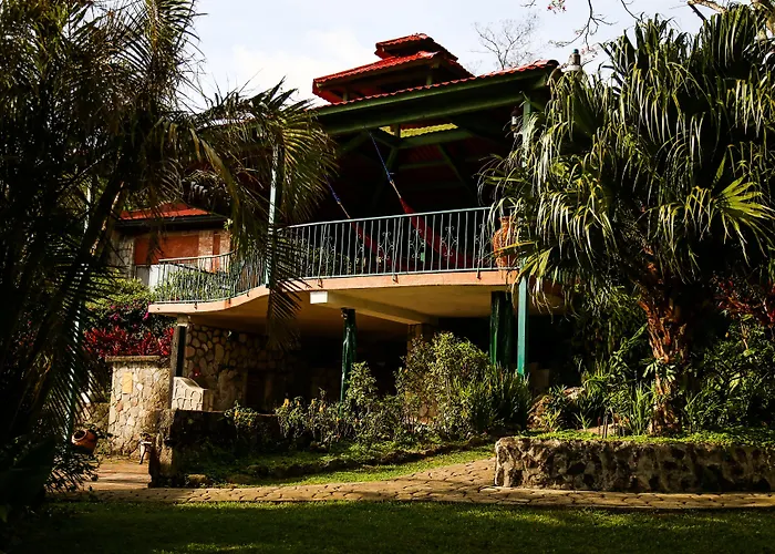 The Golden Frog Inn
