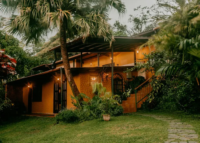 The Golden Frog Inn