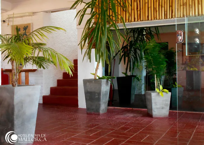 Hotel Palma De Mallorca