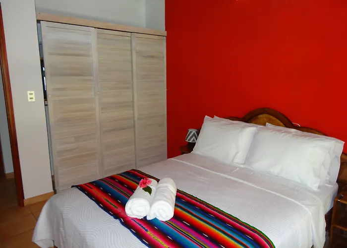 Hotel El Pequeno Gecko Verde