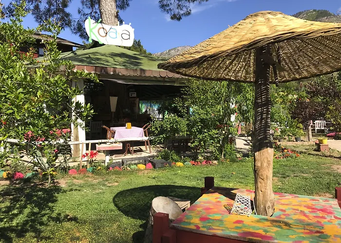 Koala Bungalows