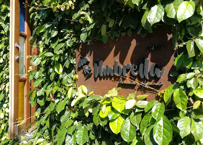 The Umbrella House - SHA Extra Plus